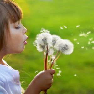 Meet your Posher, Moraima